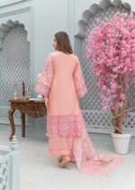 K49 Cotton | Umar boutique - Image 9