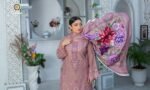 DHANAK D-58 | Umar boutique - Image 12