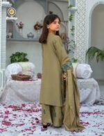 DHANAK DB-01| Umar boutique - Image 5